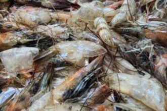 Υπολείμματα θαλασσινών ως υλικό δέσμευσης άνθρακα