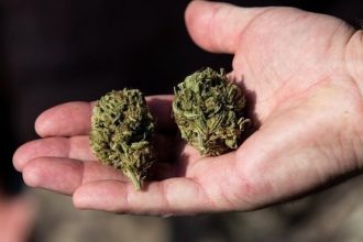 Συλλήψεις για ναρκωτικά σε Αχαΐα και Ηλέια