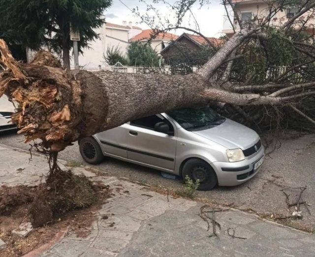 Χαμός από την κακοκαιρία: 100 κλήσεις δέχθηκε η Πυροσβεστική λόγω ισχυρών βροχοπτώσεων και θυελλωδών ανέμων
