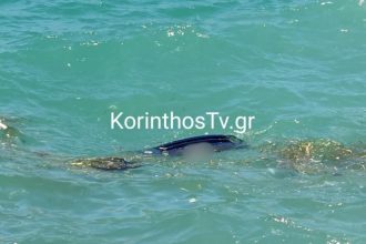 Κόρινθος: ΙΧ έπεσε στη θάλασσα – Νεκρός ο οδηγός