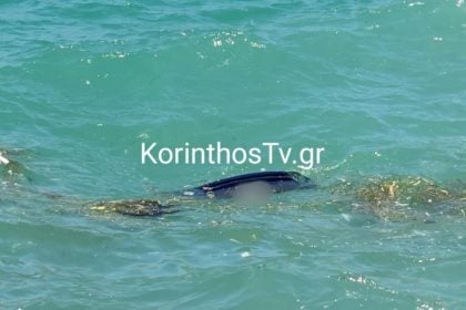 Κόρινθος: ΙΧ έπεσε στη θάλασσα – Νεκρός ο οδηγός του