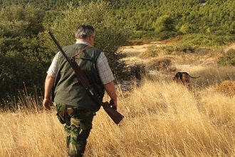 Στις 20 Αυγούστου ξεκινά η κυνηγετική περίοδος: Απεριόριστο το κυνήγι για 10 είδη, τι επιτρέπεται και τι όχι
