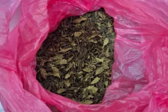 Ελευθέριος Βενιζέλος: Κατασχέθηκε μισός τόνος φυσικής κόκας αξίας 1.500.000 ευρώ – Την είχαν δηλωμένη σαν κουρτίνες