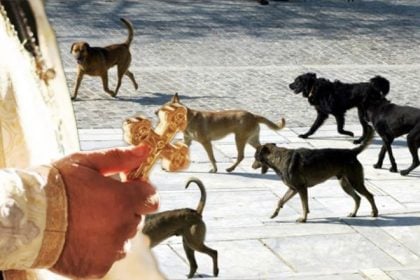 Ζωγράφου: Σκυλιά επιτέθηκαν σε ιερέα και παπαδιά