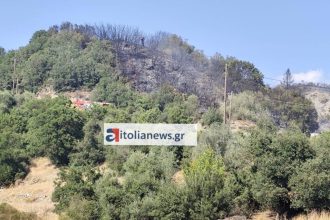 Αγρίνιο: Yπό έλεγχο η φωτιά στην Ποταμούλα - ΝΕΟΤΕΡΑ