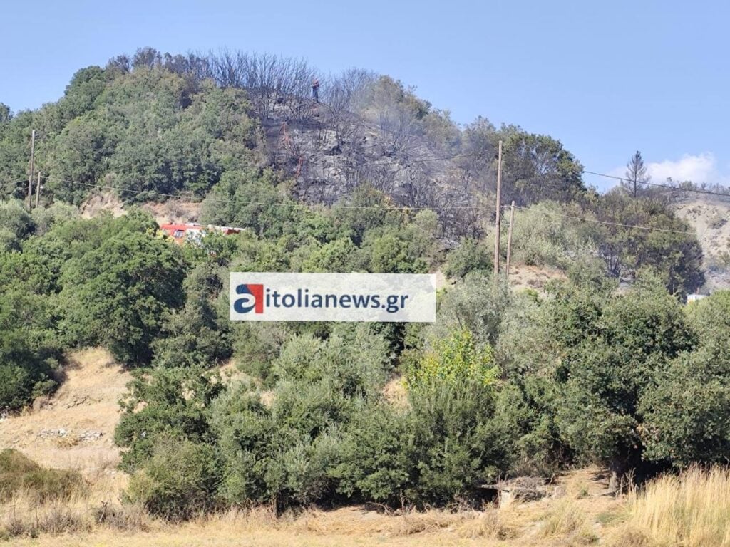 Αγρίνιο: Yπό έλεγχο η φωτιά στην Ποταμούλα - ΝΕΟΤΕΡΑ