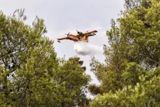 Φωτιά σε δάσος στην Αρετή Ηλείας - Σηκώθηκαν 2 εναέρια