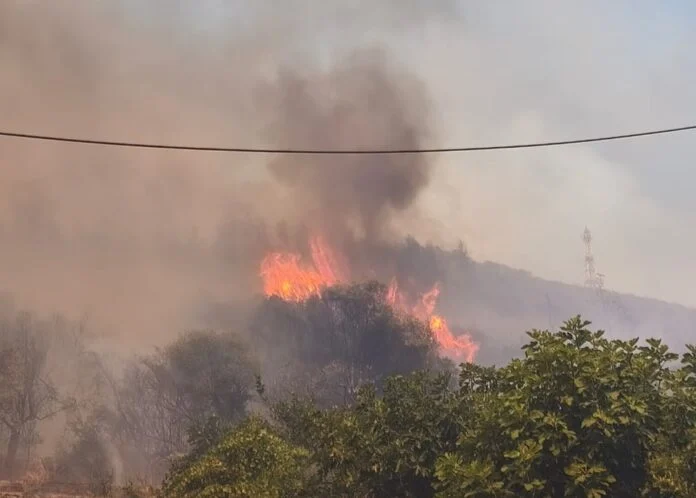 Ανεξέλεγκτη η φωτιά στον Άγιο Γεώργιο Πρεβέζης 