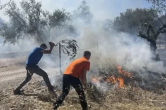 Πάτρα: Καταγγελία του Αντιδημάρχου Πολιτικής Προστασίας - «Η ολιγωρία της κυβέρνησης μπορεί να αποβεί καταστροφική για την έκβαση της πυρκαγιάς»