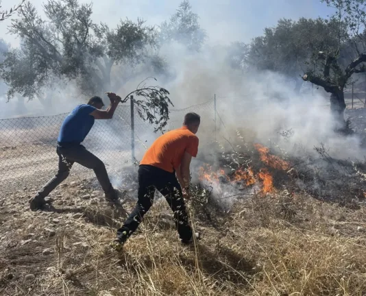 Πάτρα: Καταγγελία του Αντιδημάρχου Πολιτικής Προστασίας - «Η ολιγωρία της κυβέρνησης μπορεί να αποβεί καταστροφική για την έκβαση της πυρκαγιάς»