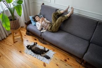 Μικρό ή μεγάλο σπίτι; Πόσα τετραγωνικά χρειάζεται μια γάτα για να ζήσει καλά