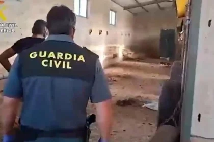 Εντοπίστηκαν 32 νεκρά σκυλιά σε αγρόκτημα στην Ισπανία - Τα είχαν παρατήσει χωρίς τροφή και νερό από τον Ιούνιο