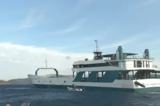 Νέα Στύρα: «Κανείς από το πλήρωμα του φέρι μποτ δεν μας βοήθησε, πηδούσαμε στα σκάφη» – Βίντεο ντοκουμέντο