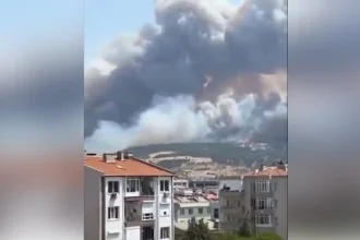 Τουρκία: Μεγάλη φωτιά στα Δαρδανέλλια – Διακόπηκε η ναυσιπλοΐα λόγω καπνού