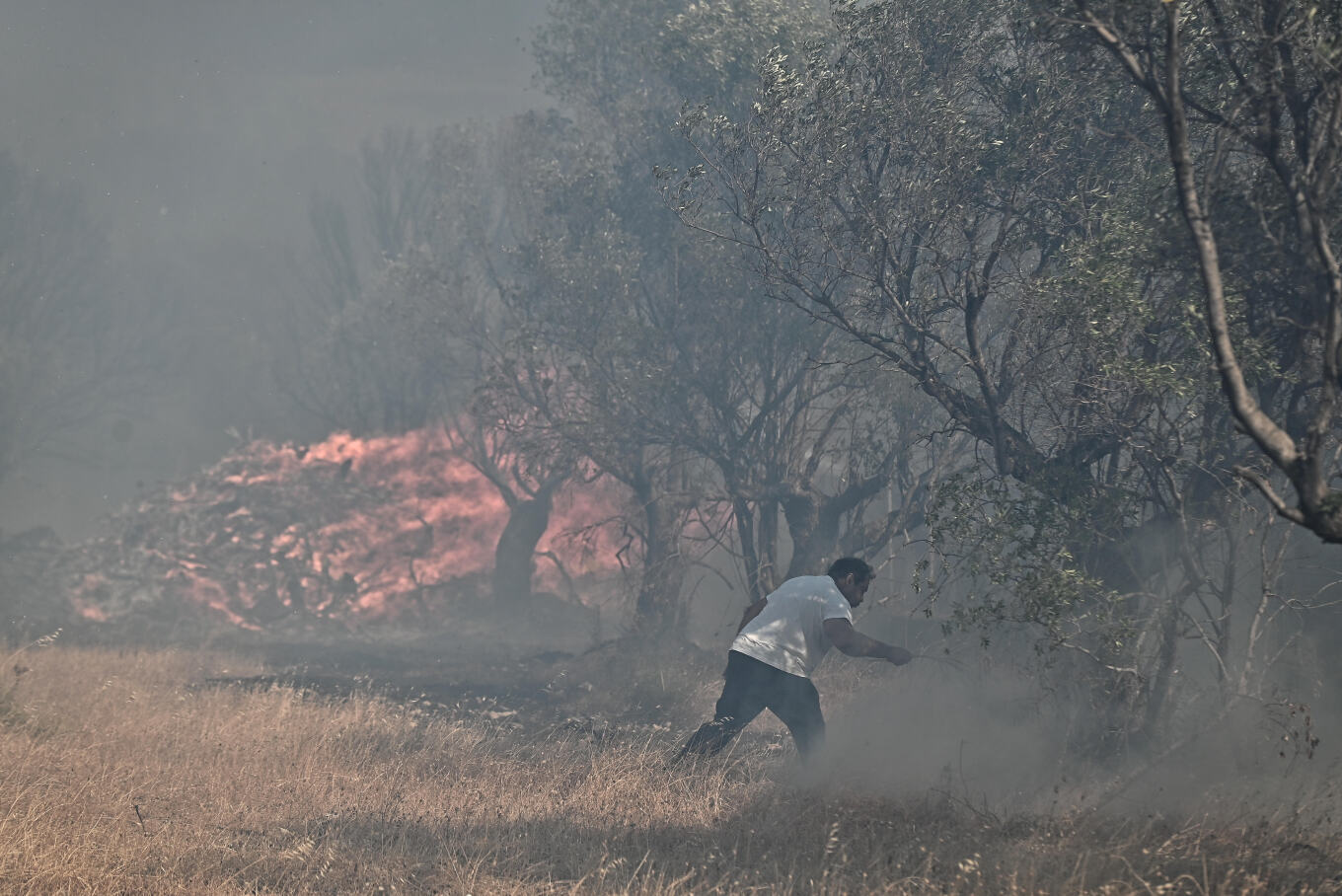 Ένας νεκρός από τη μεγάλη φωτιά στην Κερατέα - Το ένα μετά το άλλο σπίτια παραδίδονται στις φλόγες