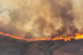 Πυροσβεστική: 82 πυρκαγιές σε 24 ώρες