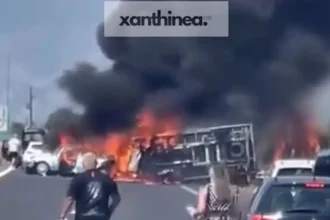 Σταματημένα για τα διόδια τα δύο αυτοκίνητα που έπεσε πίσω τους το φορτηγό στην Εγνατία σκοτώνοντας τρεις ανθρώπους - Επέζησαν δύο αγοράκια 4 και 6 ετών