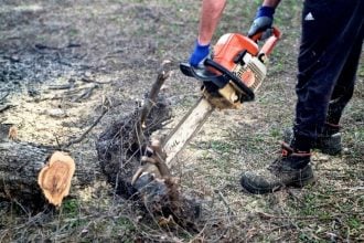 Κορμός οξιάς καταπλάκωσε ξυλοκόπο