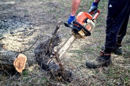 Κορμός οξιάς καταπλάκωσε ξυλοκόπο