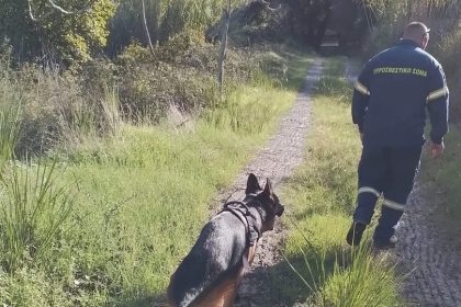 Τέλος στο θρίλερ σε Πάτρα και Κ. Αχαΐα με τον 13χρονο που εξαφανίστηκε - Πού και γιατί κρυβόταν - ΝΕΟΤΕΡΑ