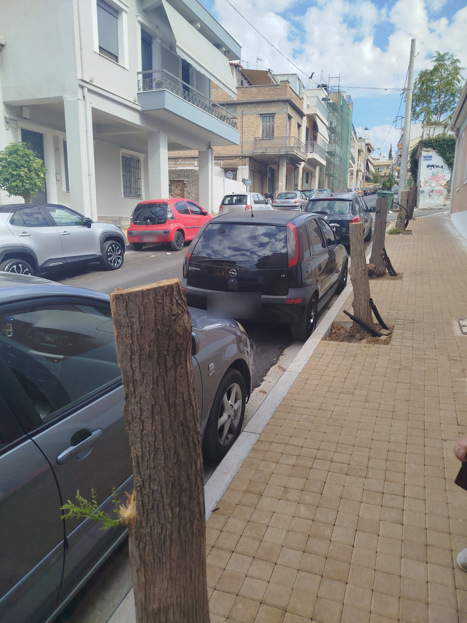 Δήμος Πατρέων: Μήνυση για την κοπή δέντρων στην Άνω Πόλη