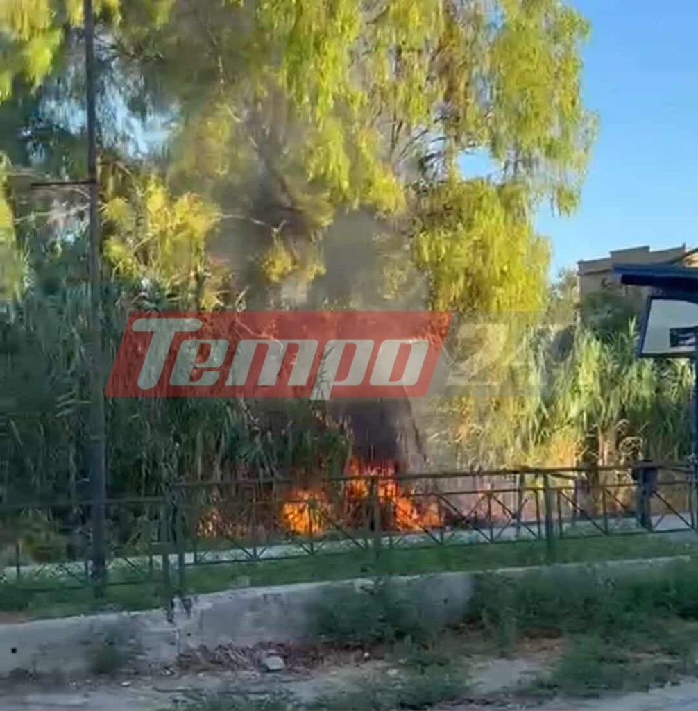 Πάτρα: Φωτιά δίπλα στις γραμμές του Προαστιακού με ..άρωμα εμπρησμού - Οι κάτοικοι εντόπισαν ύποπτο άτομο, που προσήγαγε η ΕΛ.ΑΣ ΦΩΤΟ