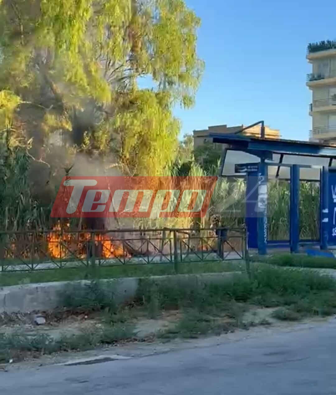 Πάτρα: Φωτιά δίπλα στις γραμμές του Προαστιακού με ..άρωμα εμπρησμού - Οι κάτοικοι εντόπισαν ύποπτο άτομο, που προσήγαγε η ΕΛ.ΑΣ ΦΩΤΟ