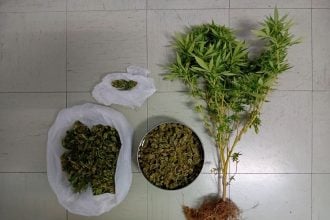 Συνελήφθη άνδρας στο Μεσολόγγι για καλλιέργεια και κατοχή ναρκωτικών