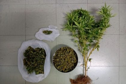 Συνελήφθη άνδρας στο Μεσολόγγι για καλλιέργεια και κατοχή ναρκωτικών