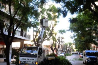 Πάτρα: Έως την Κυριακή 28 Σεπτεμβρίου το κλάδεμα των δένδρων στην Κωνσταντινουπόλεως