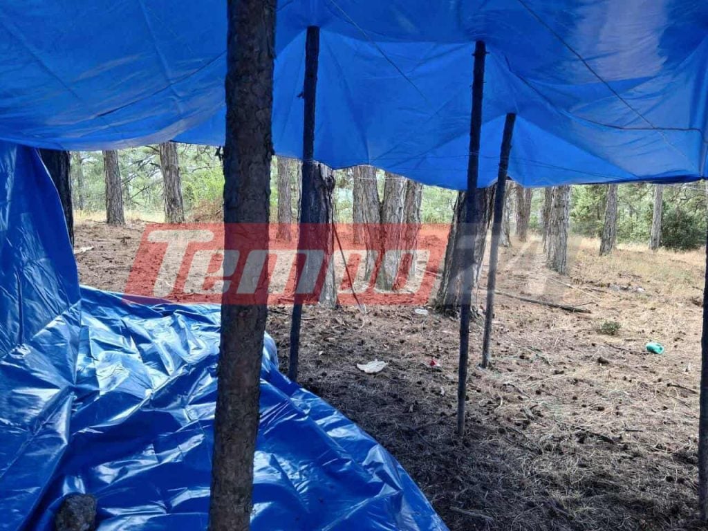 “Εγκλωβισμένοι” αστυνομικοί σε μεγάλη φυτεία κάνναβης στην ορεινή Κορινθία - Δείτε που μένουν (ΦΩΤΟ)