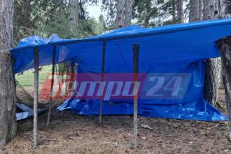 “Εγκλωβισμένοι” αστυνομικοί σε μεγάλη φυτεία κάνναβης στην ορεινή Κορινθία - Δείτε που μένουν (ΦΩΤΟ)