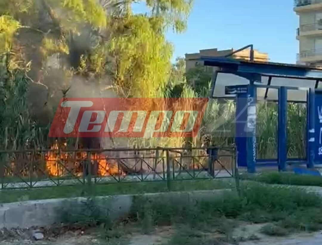  H ΕΛ.ΑΣ για τη σύλληψη του 14χρονου που κατηγορείται για εμπρησμό στην Αγυιά