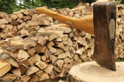 Σύλληψη άνδρα για παράνομη υλοτομία
