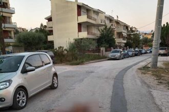 Πάτρα: Αγέλη σκύλων απειλεί κατοίκους στα Κ. Συχαινά - Κατασπάραξε αλεπού