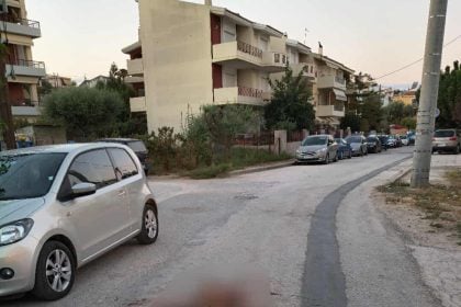 Πάτρα: Αγέλη σκύλων απειλεί κατοίκους στα Κ. Συχαινά - Κατασπάραξε αλεπού
