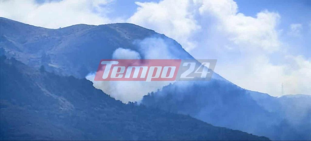 Πάτρα: Φωτιά στο Παναχαϊκό - Σηκώθηκαν 5 αεροπλάνα και 3 ελικόπτερα (ΦΩΤΟ & ΒΙΝΤΕΟ)