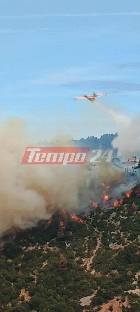 Πάτρα: Φωτιά στο Παναχαϊκό - Σηκώθηκαν 5 αεροπλάνα και 3 ελικόπτερα (ΦΩΤΟ & ΒΙΝΤΕΟ)