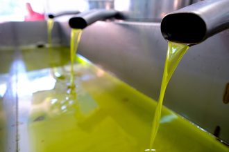 Μείωση παραγωγής ελαιολάδου: Δυσοίωνες οι προβλέψεις, οδηγούν σε αύξηση τιμών