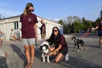 Μεγάλη η ανταπόκριση στην ημέρα υιοθεσίας ζώων συντροφιάς που διοργάνωσε ο Δήμος Πατρέων