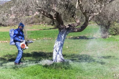 Ξεκινά ο τελευταίος δολωματικός ψεκασμός σε Τοπικές Κοινότητες της Αχαΐας