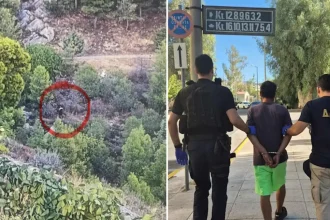 Ο 32χρονος που συνελήφθη για τις επιθέσεις στο Αιγάλεω είναι ο εμπρηστής του Υμηττού
