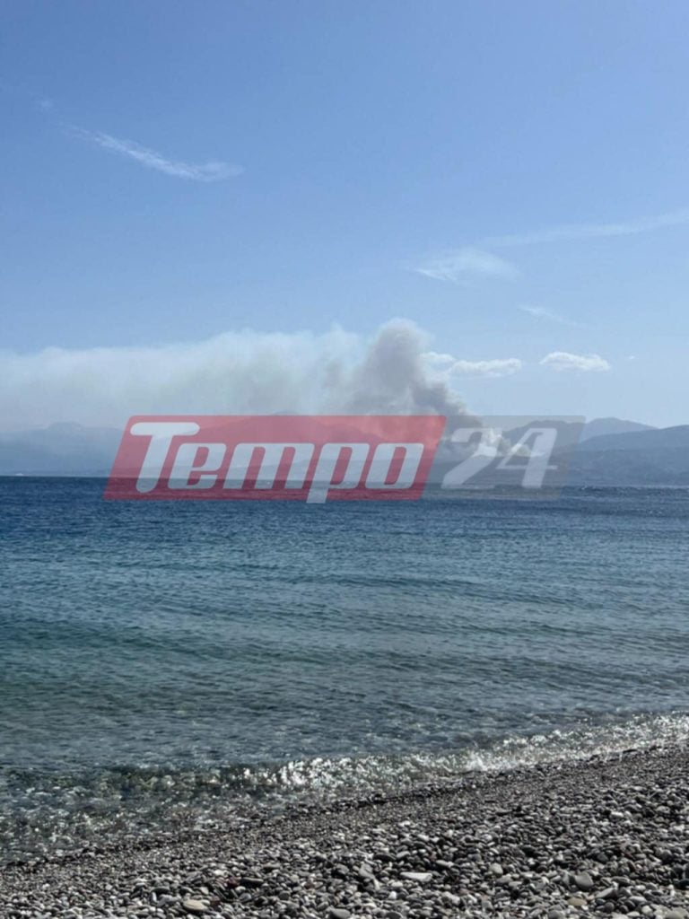 ΕΚΤΑΚΤΟ - Φωτιά στην Αιγιάλεια - Μάχη με τις φλόγες κοντά σε σπίτια - Εκκενώνονται χωριά - ΦΩΤΟ, ΒΙΝΤΕΟ