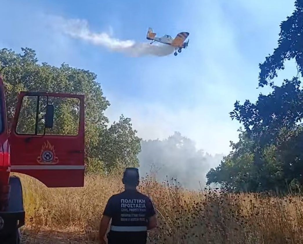 Αιτωλοακαρνανία: Μεγάλη φωτιά κοντά στο αρχαίο θέατρο Οινιάδων - Επιχειρούν και εναέρια μέσα (ΦΩΤΟ - ΒΙΝΤΕΟ) - ΝΕΟΤΕΡΑ
