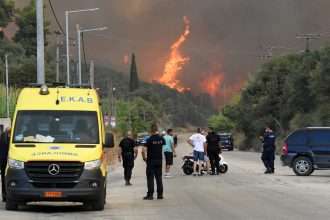 Δασικές πυρκαγιές στην Ελλάδα: Φέτος η 5η χειρότερη χρονιά από το 2006 - Στάχτη 473.930 στρέμματα - Πόσες εκτάσεις κάηκαν στην Αχαΐα