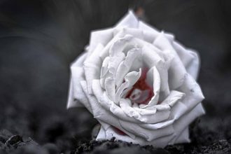 Πάτρα: Κηδεύονται την Τρίτη