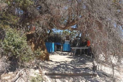 Παρά τις απαγορεύσεις επέστρεψαν στη νήσο Χρυσή οι καλύβες - Επίκειται επιχείρηση για την απομάκρυνσή τους