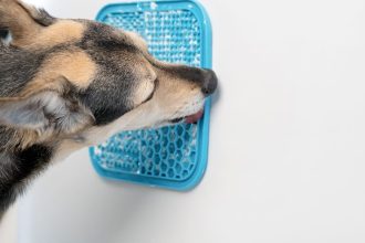 8 λόγοι που το licking mat ταιριάζει στον σκύλο σας