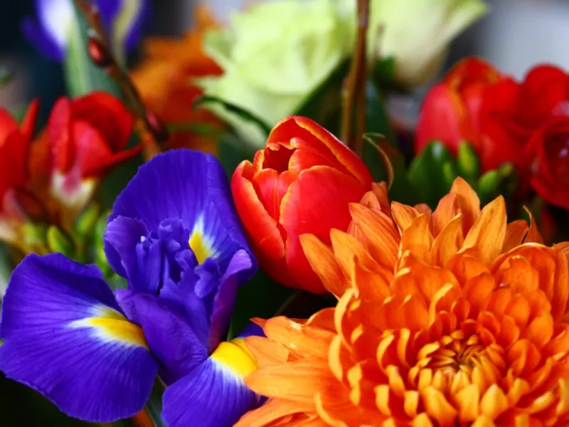 Ποιοι γιορτάζουν σήμερα 17 Σεπτεμβρίου