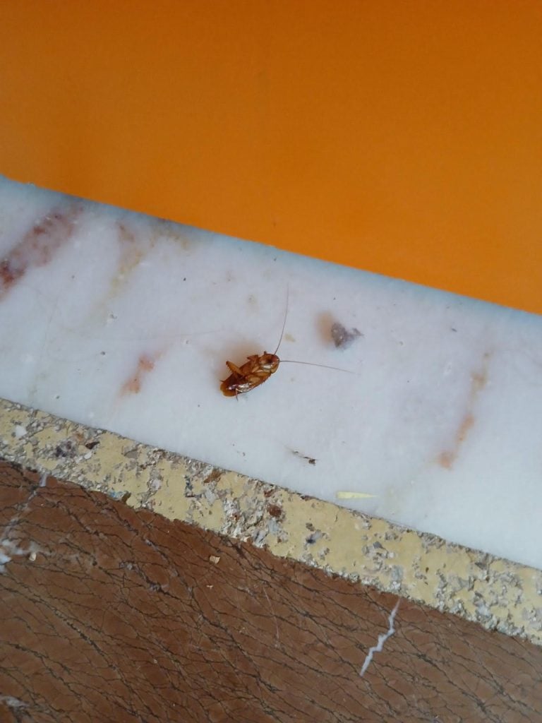 Τι διαπίστωσε κλιμάκιο του ΠΑΣΟΚ στο 16ο Νηπιαγωγείο Πατρών (ΦΩΤΟ)